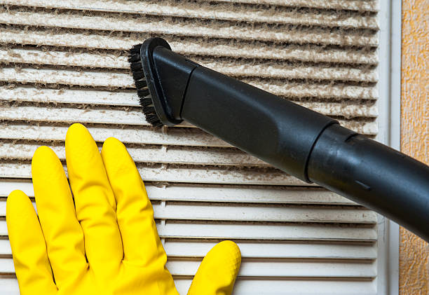 Best Affordable Duct Cleaning Services  in Estherville, IA